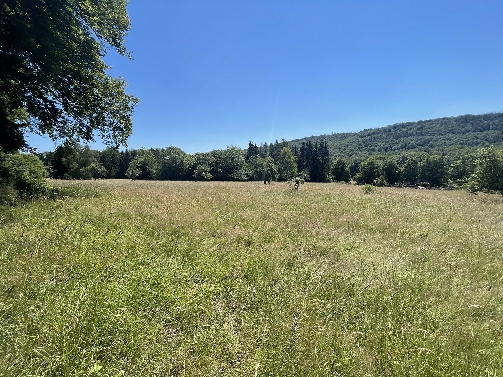 Villa in absoluter Wald-Alleinlage 5,3 ha Land, Seminarräumen, Gästezimmer, Schwimmbad, Tennisanlage