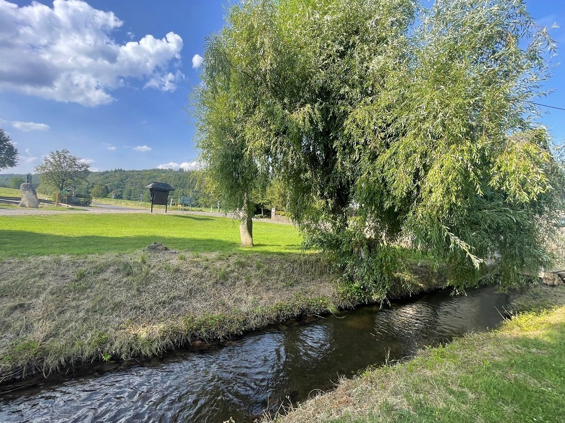 Mühlenanwesen im Außenbereich / Nähe Wittlich in der Eifel und Mosel ( hochwasserfrei ! )