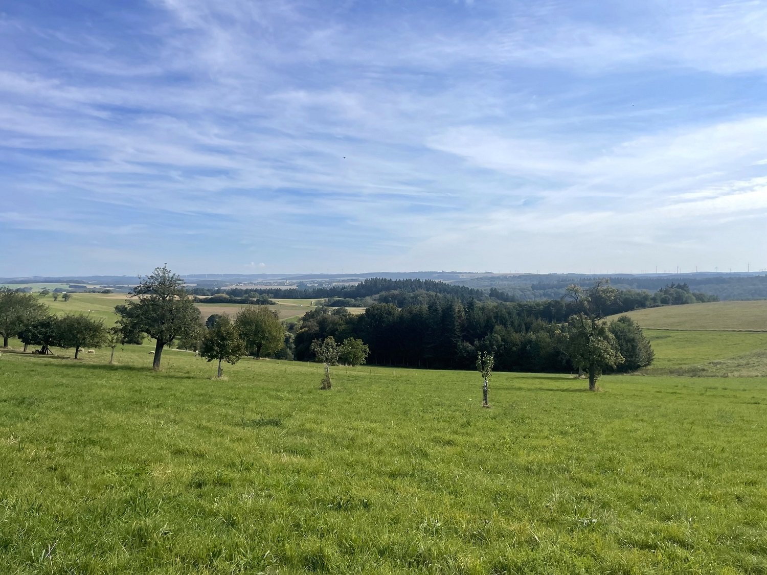 Wohnhaus im Ort Macken, Niederenergie, mit Garten in herrlicher Lage mit Fernsicht (Mosel-Hunsrück)               ! seniorengerechtes wohnen ! !