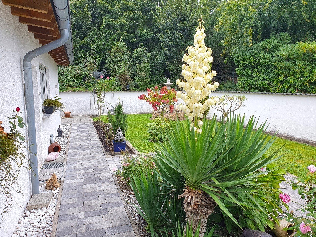 Kleiner, ruhiger Ort Nähe Blankenrath  Natur-/Sonnenlage für Familien od. Senioren geeignet  Wohnhaus in Ortsrandlage mit viel Natur und Platz