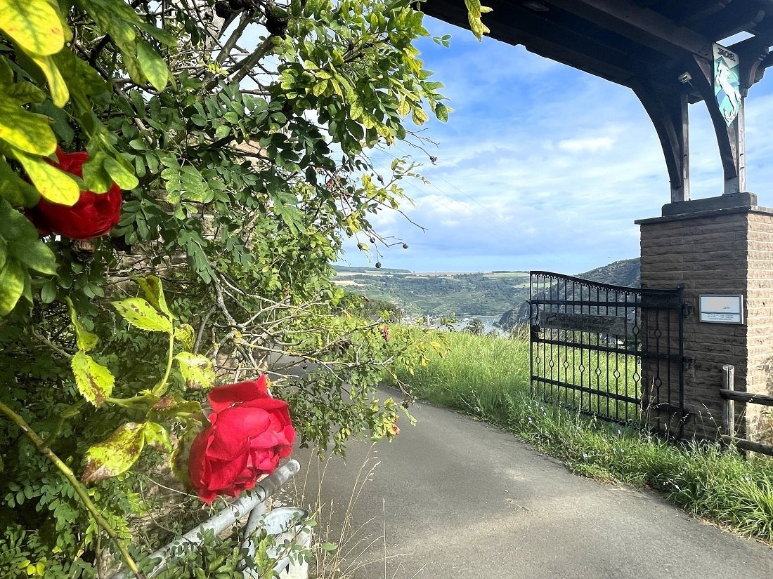 Pferdehof mit herrlichem Blick über den Rhein mit modernem Wohnhaus in Alleinlage