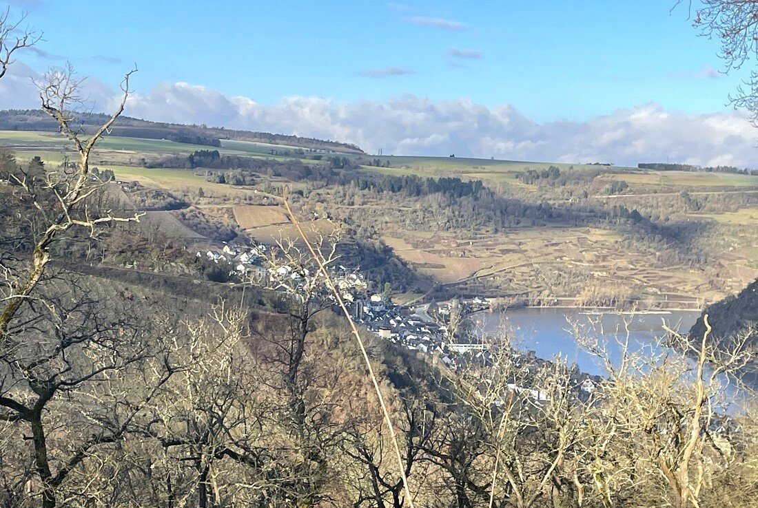 Pferdehof mit herrlichem Blick über den Rhein mit modernem Wohnhaus in Alleinlage