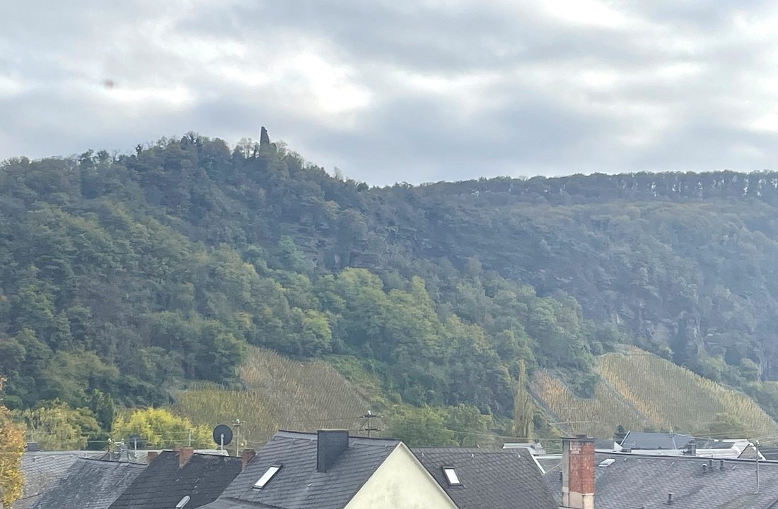 Hotel / Gästehaus an der Mittelmosel mit Vollausstattung, Betreiberwhg. Bar & hochwertig ausgestatteten Gästezimmern