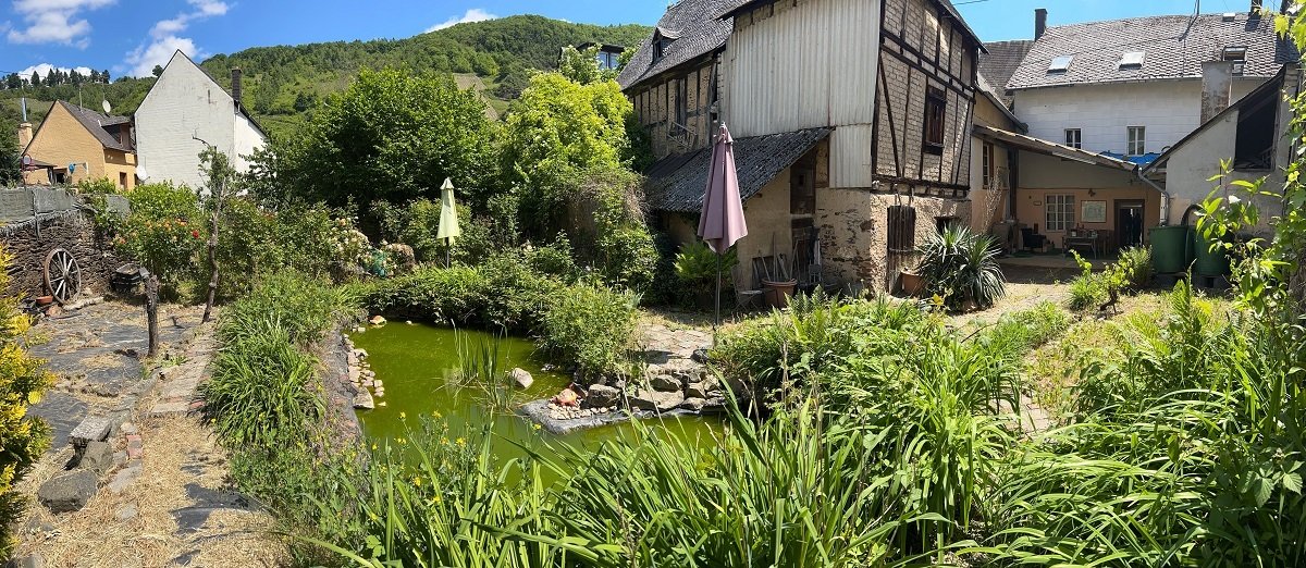 Handwerker aufgepasst: Wohnhaus mit schönem Garten an der Mosel