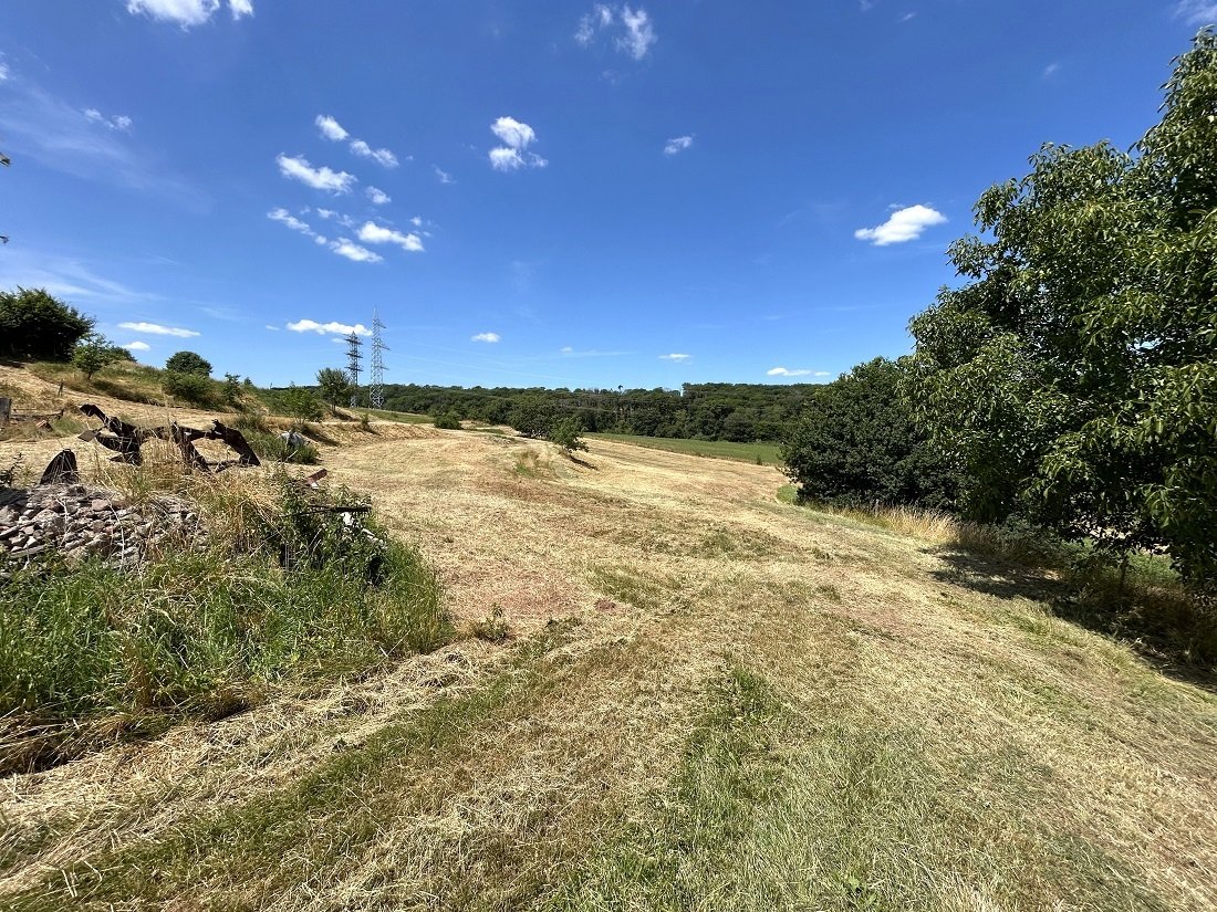 zwei Wohnhäuser und rd. 20.000 qm Land direkt am Haus (Nähe zur Stadt Wittlich 5 km)