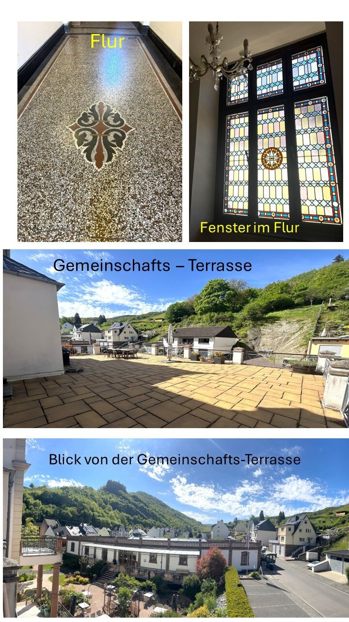 3 Eigentumswohnungen in renovierter Jungendstil-Villa / nur 10 Minuten bis zur Moselpromenade