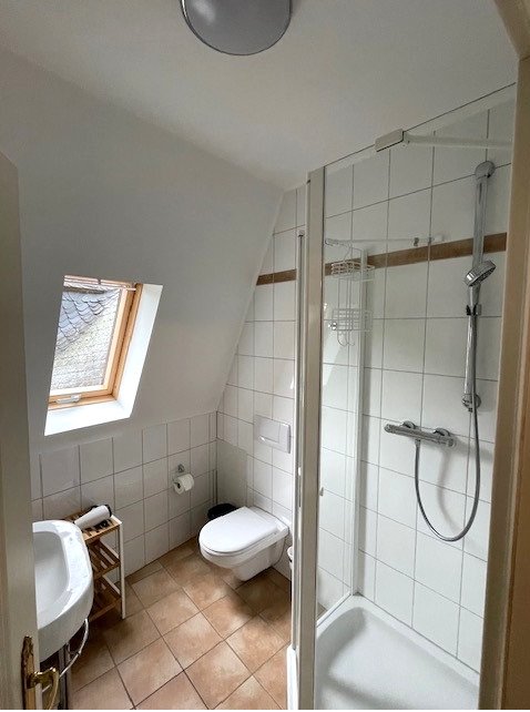 3 Eigentumswohnungen in renovierter Jungendstil-Villa / nur 10 Minuten bis zur Moselpromenade