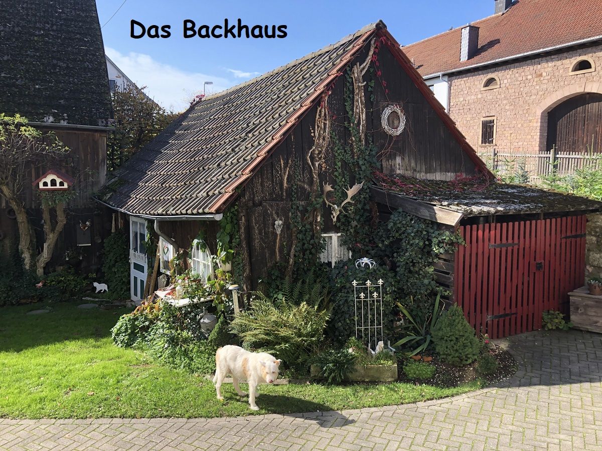 Gutshaus mit 4 Wohnungen, parkähnlichen Garten und zweitem Grundstück Nähe Bad-Sobernheim