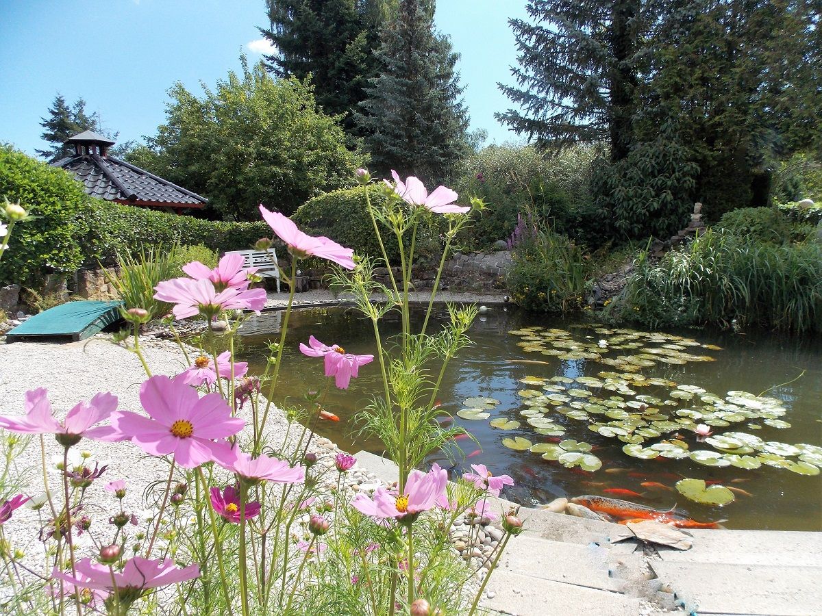 Gutshaus mit 4 Wohnungen, parkähnlichen Garten und zweitem Grundstück Nähe Bad-Sobernheim