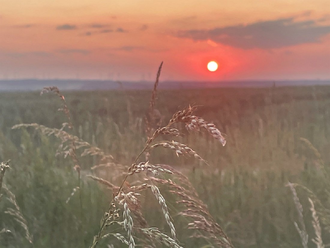 Sonnenuntergang im Hunsrück 