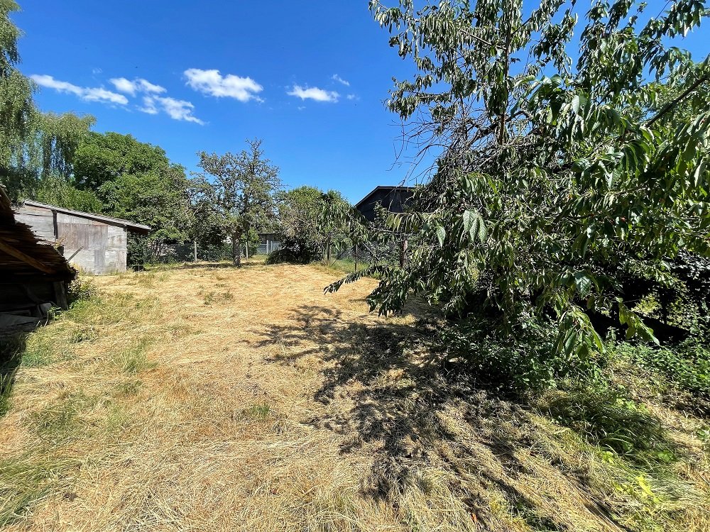 Garten hinter dem Haus 