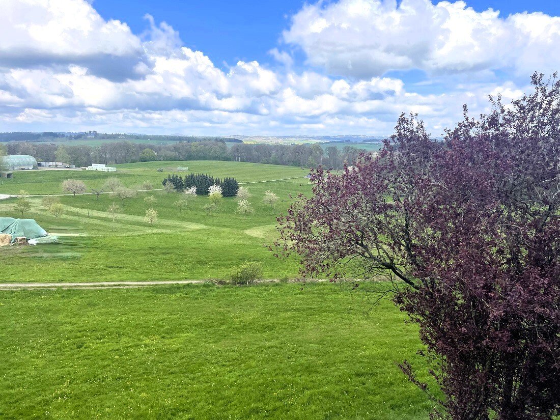 Fernsicht, 3.134 qm Grundstück mit Wiese hinter dem Haus 