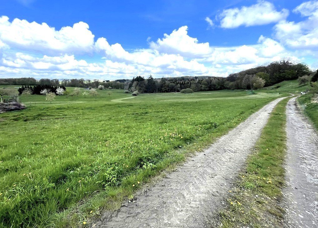 Weg hinter dem Haus, unterhalb der Wiese am Haus