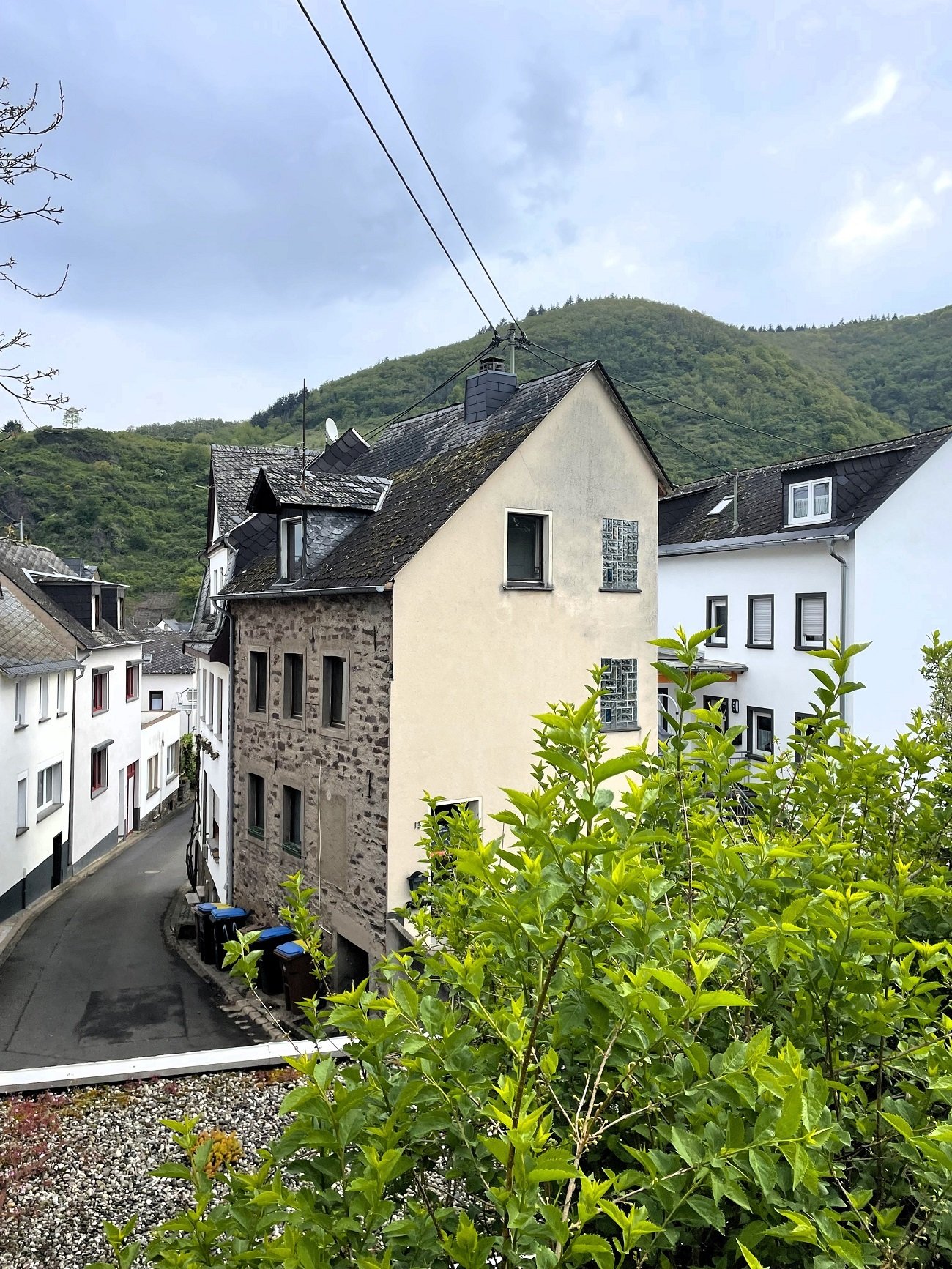 Hochwasserfrei und nur 150 Meter bis zur Mosel 