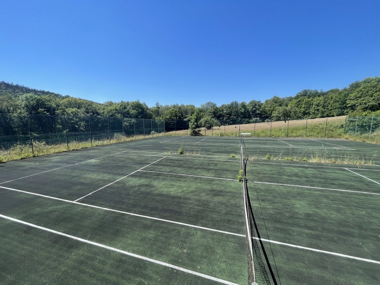 die beiden Tennisplätze im Grünen die beiden Tennisplätze im Grünen