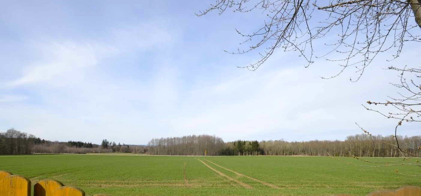 Weitsicht hinter dem Haus -ruhige Ortsrandlage- 