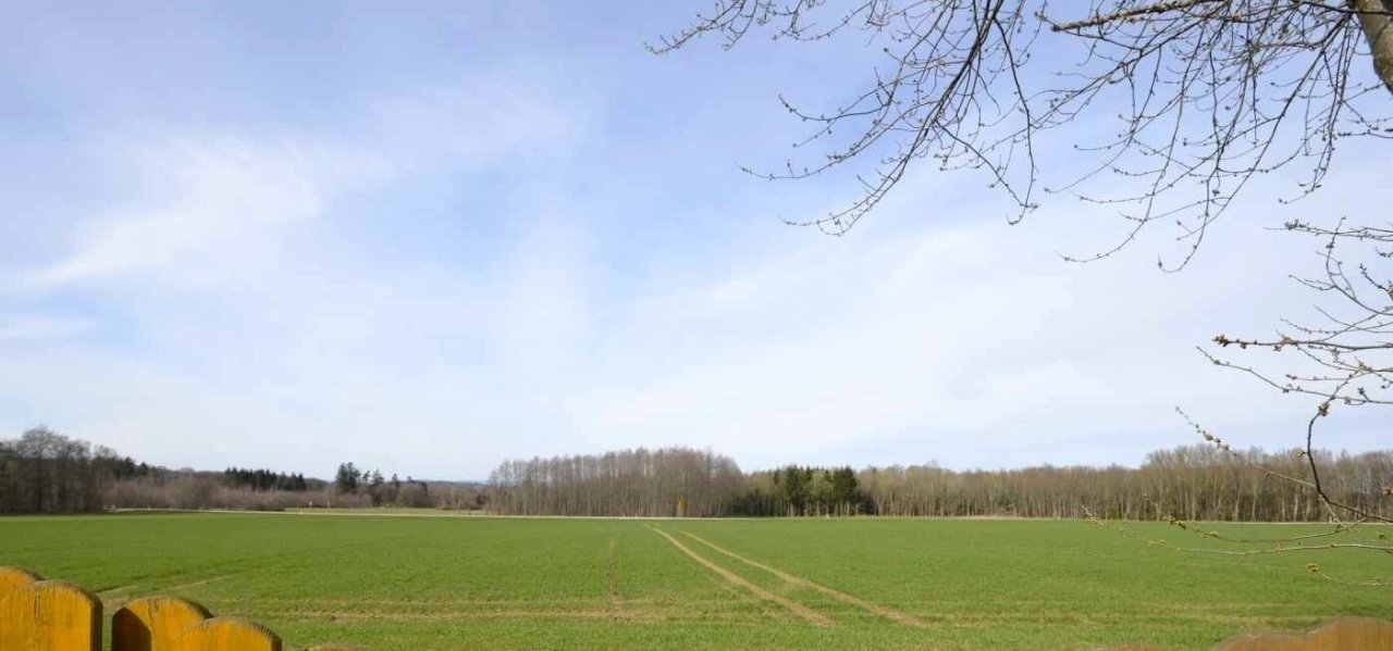 Weitsicht hinter dem Haus -ruhige Ortsrandlage- Weitsicht hinter dem Haus -ruhige Ortsrandlage-
