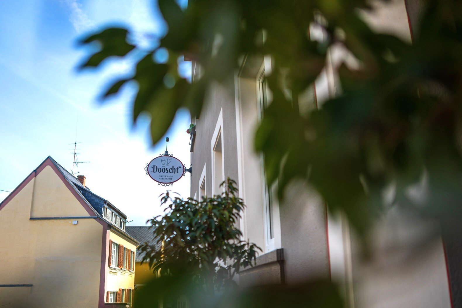 beste Geschäftslage in Kröv an der Mosel 
