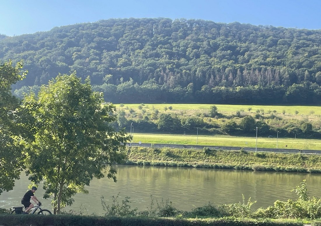 Blick von der Dachterrasse 