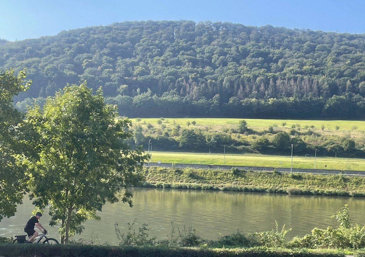 Blick von der Dachterrasse Blick von der Dachterrasse