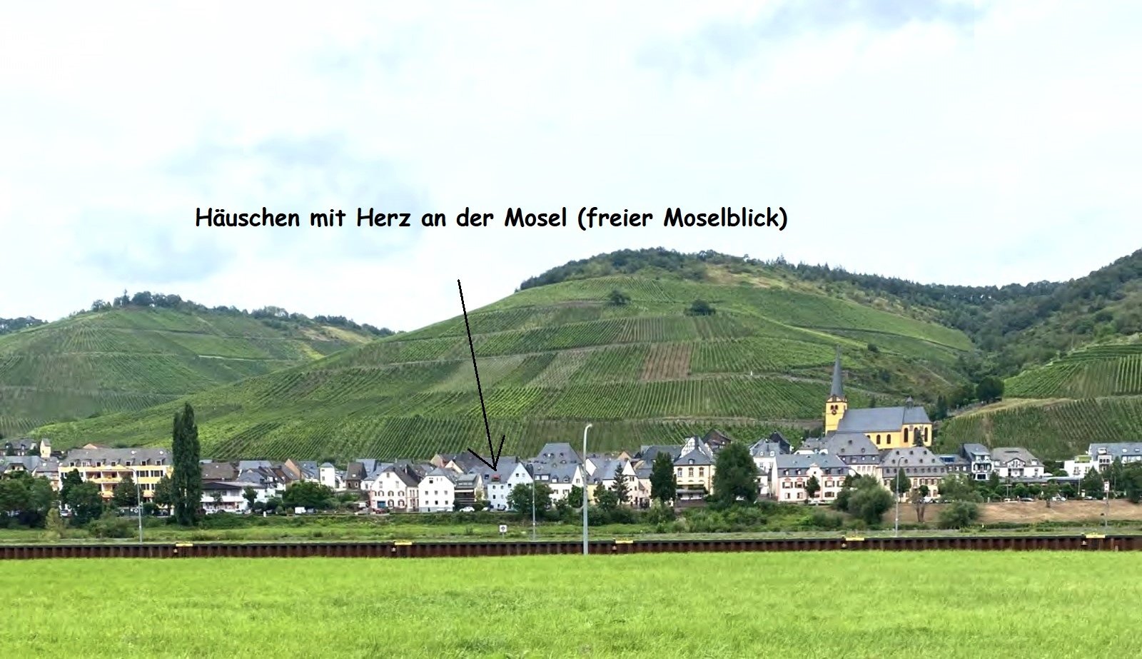 Zeltingen  von der anderen Moselseite 
