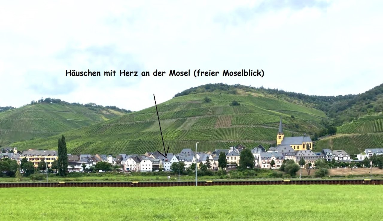 Zeltingen von der anderen Moselseite Zeltingen von der anderen Moselseite