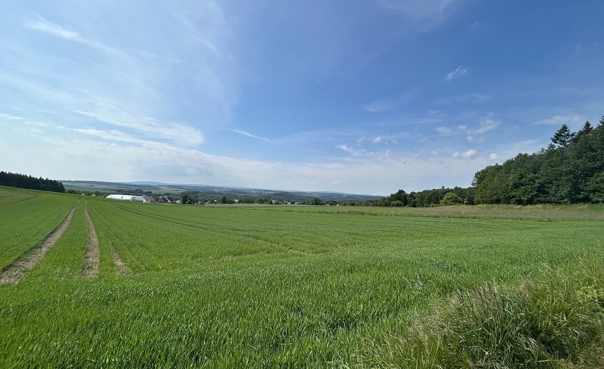 Umgebung zur Ortsgemeinde Umgebung zur Ortsgemeinde
