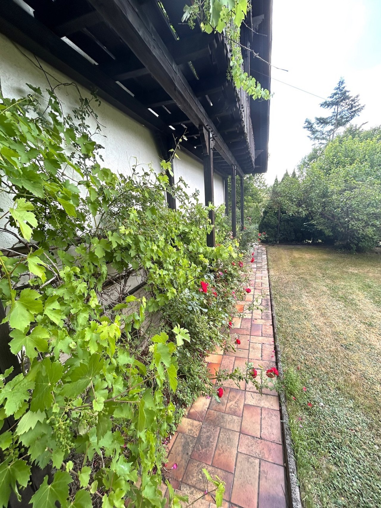 hinter Haus 2