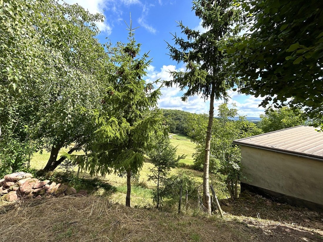 Fernsicht auf die Stadt Wittlich möglich Fernsicht auf die Stadt Wittlich möglich