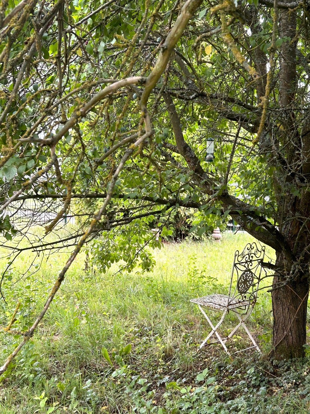 das könnte Ihr neuer Ruheplatz sein das könnte Ihr neuer Ruheplatz sein