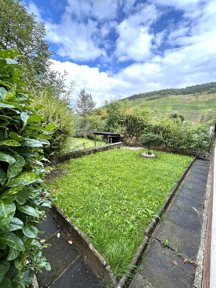 kleiner ruhiger Garten direkt am Haus kleiner ruhiger Garten direkt am Haus