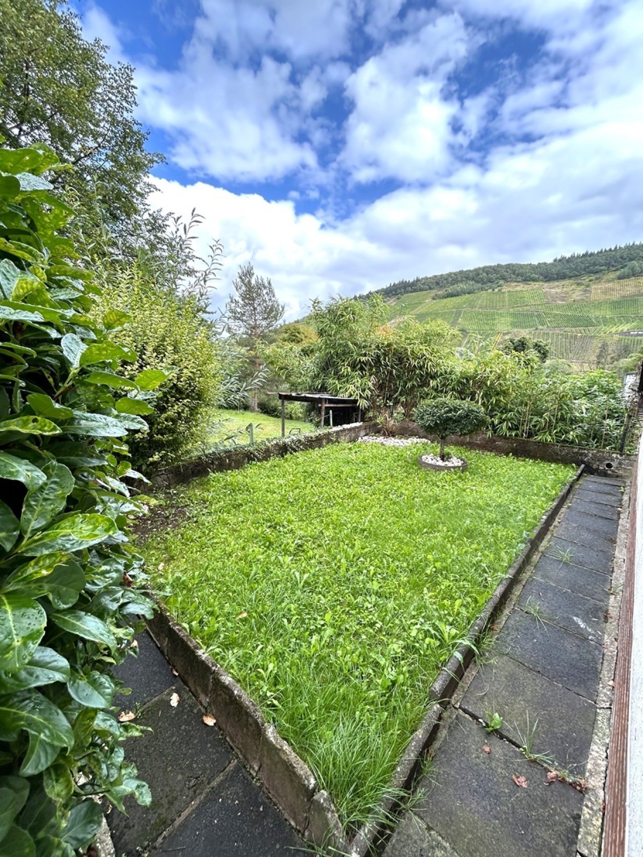 kleiner ruhiger Garten direkt am Haus kleiner ruhiger Garten direkt am Haus