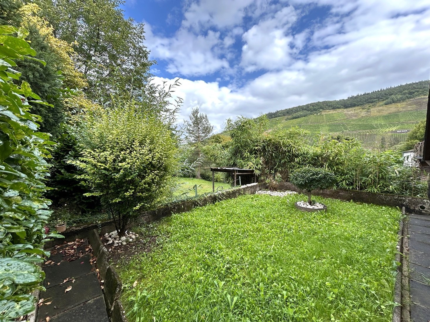 Garten mit Fernsicht in die Weinberge Garten mit Fernsicht in die Weinberge