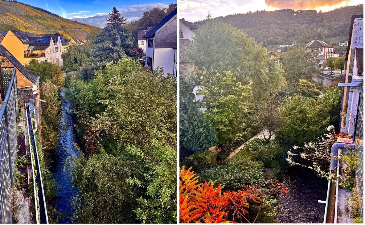 Blick in die Weinberge von der Terrasse (45 qm)