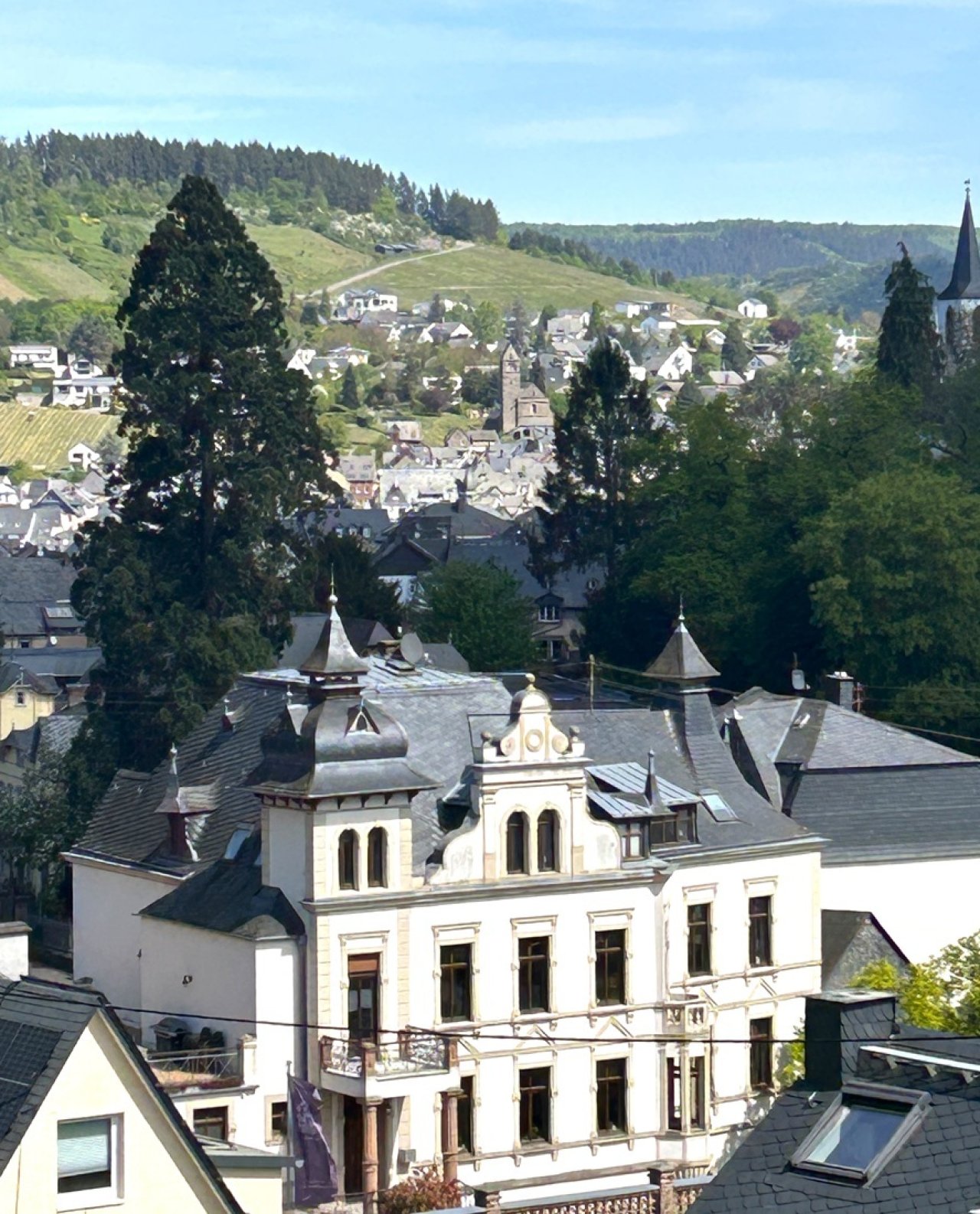 schöne, ruhige Lage in der Stadt Traben-Trarbach schöne, ruhige Lage in der Stadt Traben-Trarbach