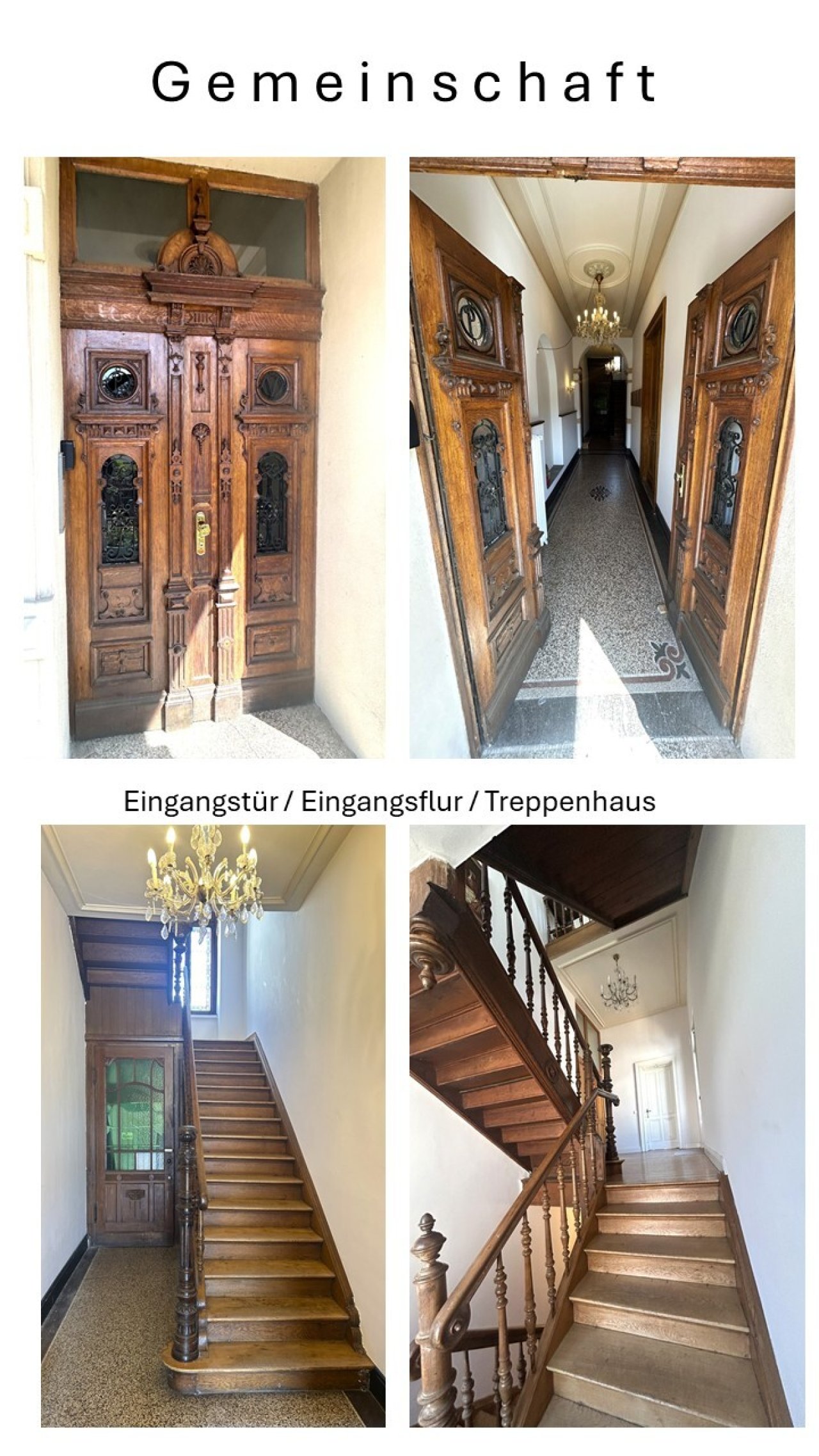 Eingang und Treppenhaus Eingang und Treppenhaus
