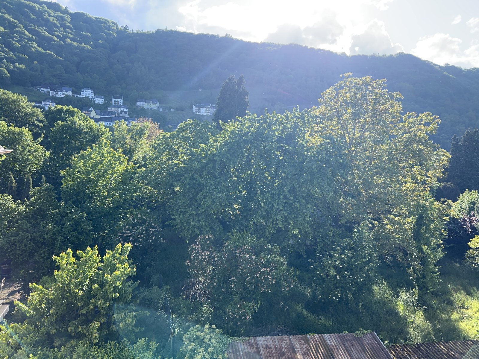 Sicht über die Mosel hinweg (vom Balkon) 