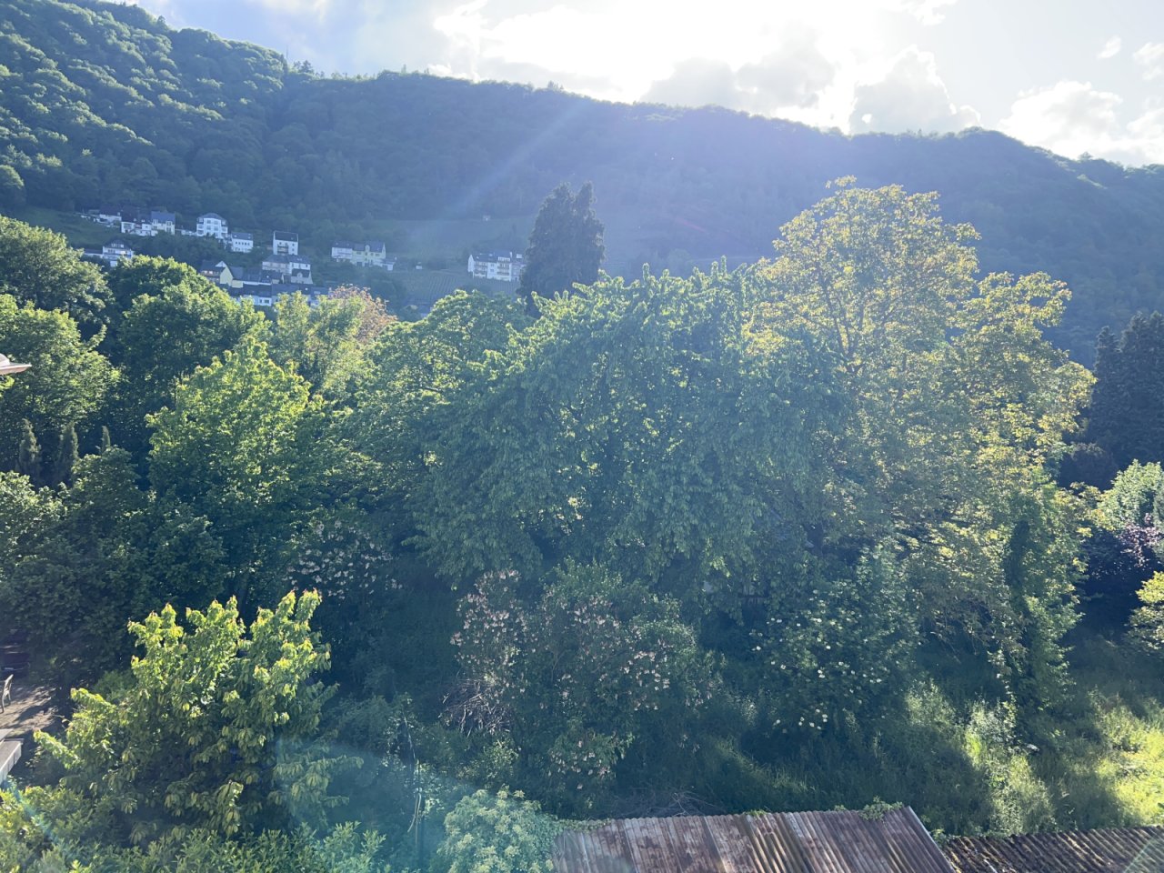 Sicht über die Mosel hinweg (vom Balkon) 