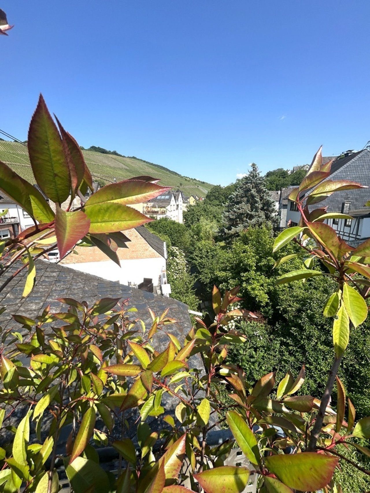 Blick von der großen sonnigen Terrasse 