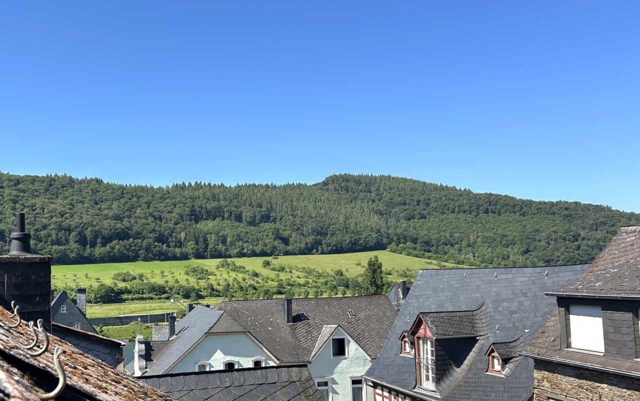 Blick auf die andere Moselseite vom DG Blick auf die andere Moselseite vom DG