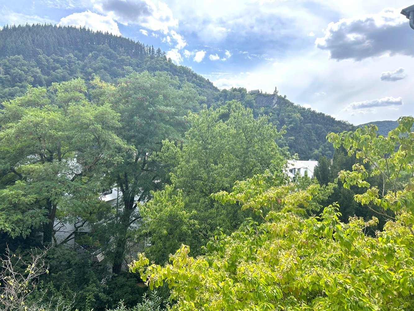 herrliche Fernsicht zur Burg der Stadt Traben-Trarbach herrliche Fernsicht zur Burg der Stadt Traben-Trarbach