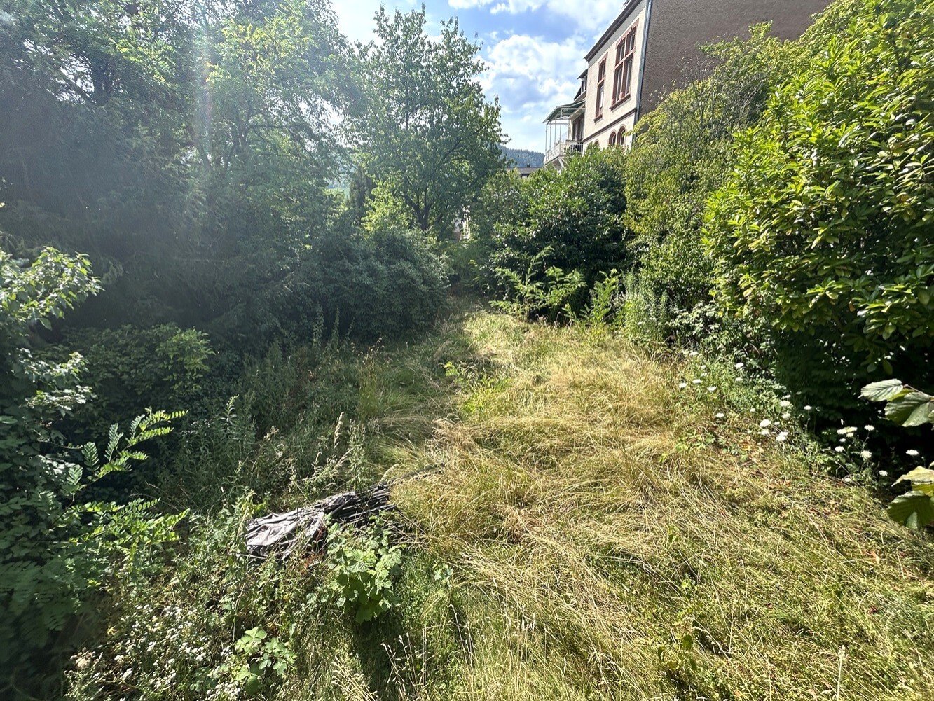 der Garten könnte eine "grüne Hand" benötigen der Garten könnte eine "grüne Hand" benötigen