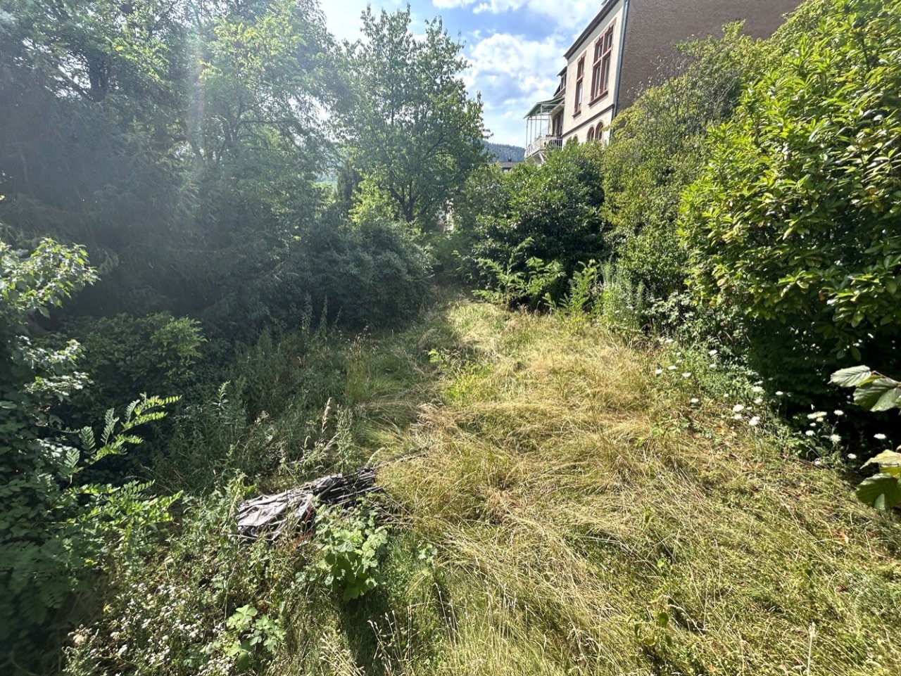 der Garten könnte eine "grüne Hand" benötigen der Garten könnte eine "grüne Hand" benötigen
