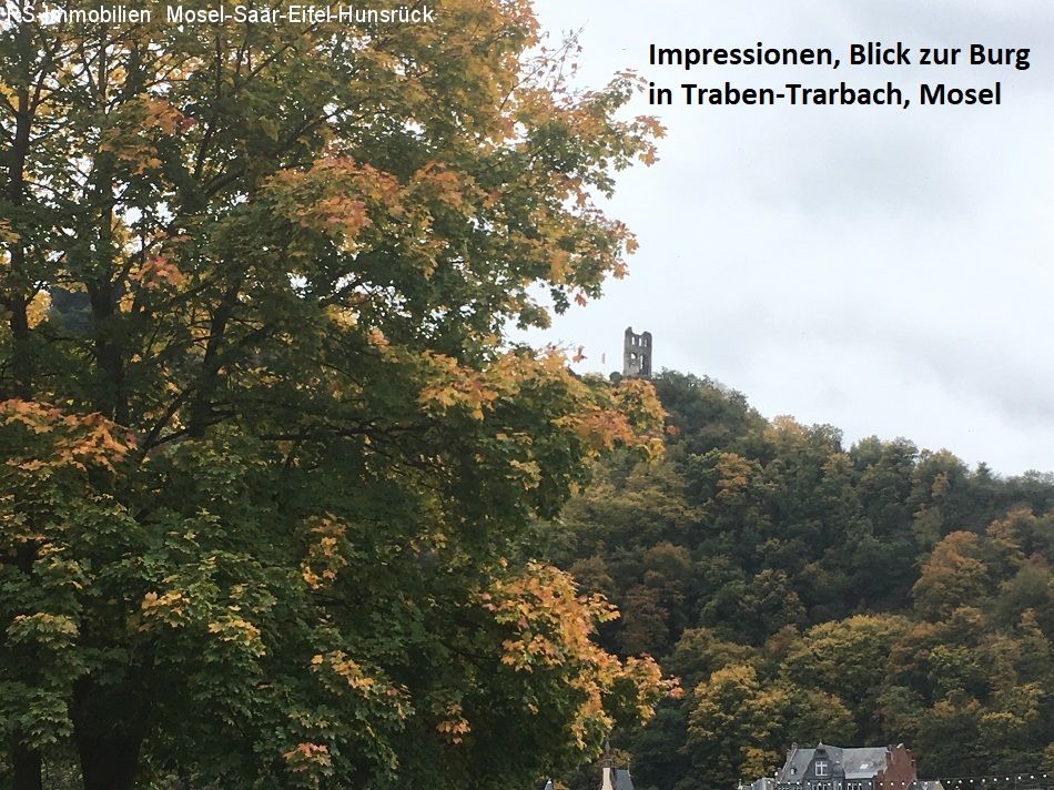 Die Burg von Traben-Trarbach (Impressionen)