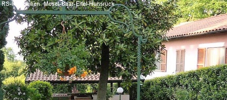 schöner alter Baumbestand im Garten 