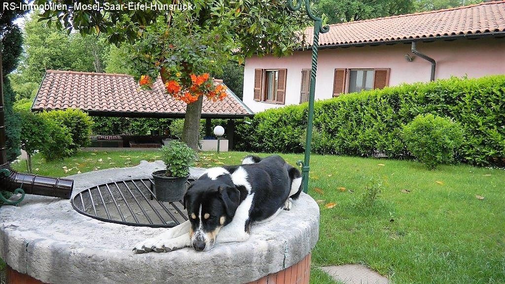 Brunnen im Garten,  Idylle und Ruhe pur , 