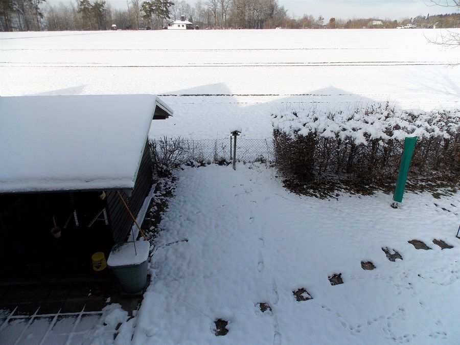 Sicht vom OG in den hinteren Garten 