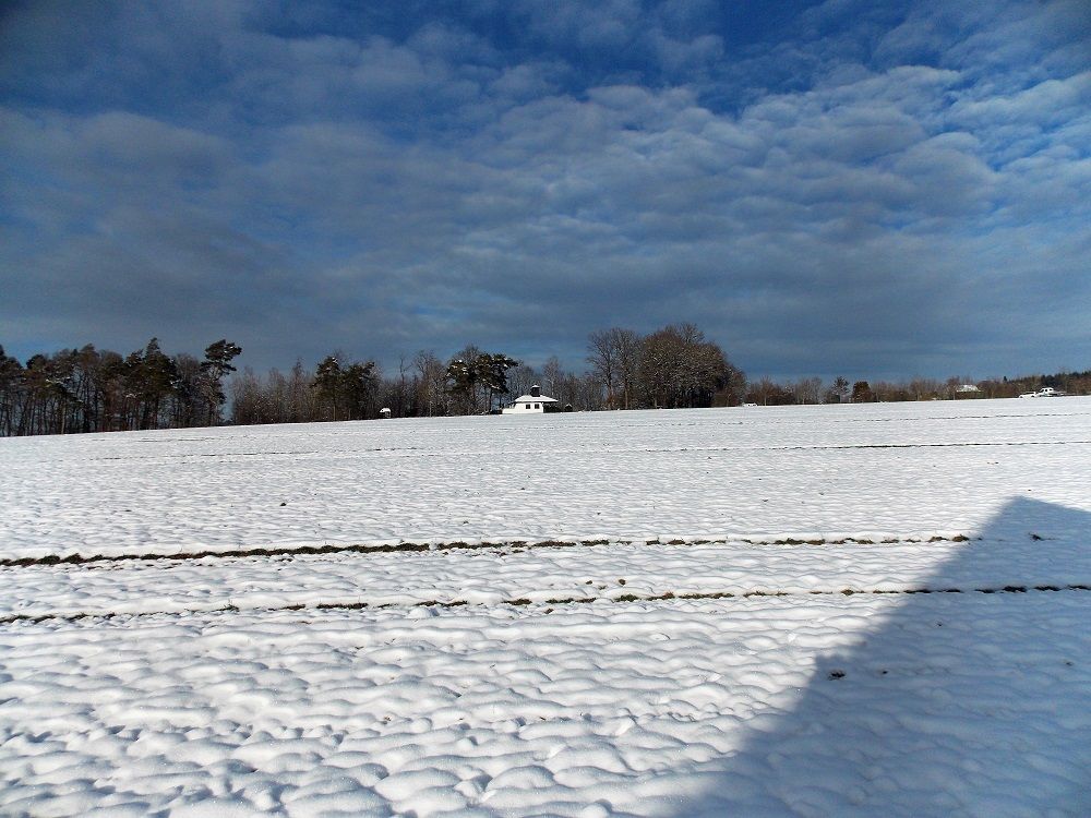 Wiesen hinter dem Haus (unverbaut)