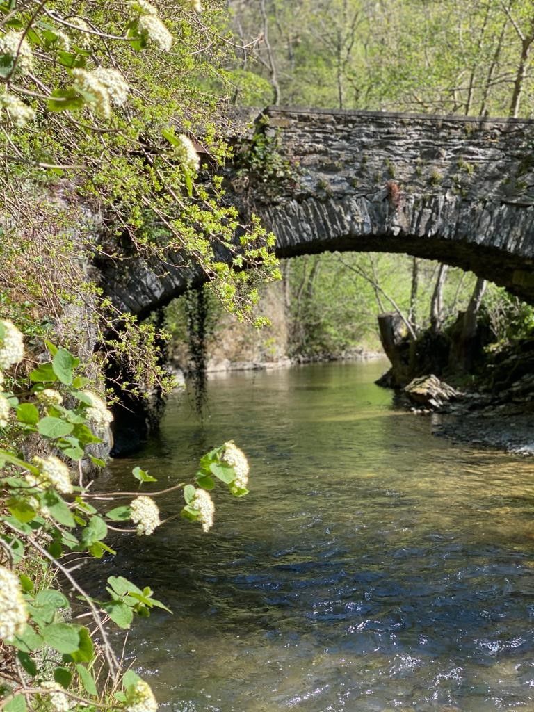 die Brücke an der Mühle mit Bach 