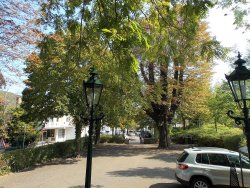 12 eigene schattige Parkplätze mitten in der Stadt 12 eigene schattige Parkplätze mitten in der Stadt